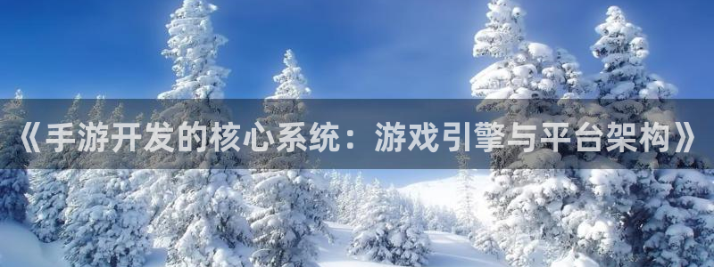 恩佐娱乐手机版最新功能介绍视频：《手游开发的核心系统：游戏引