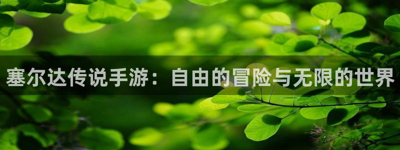 恩佐娱乐手机版最新功能介绍视频：塞尔达传说手游：自由的冒险与