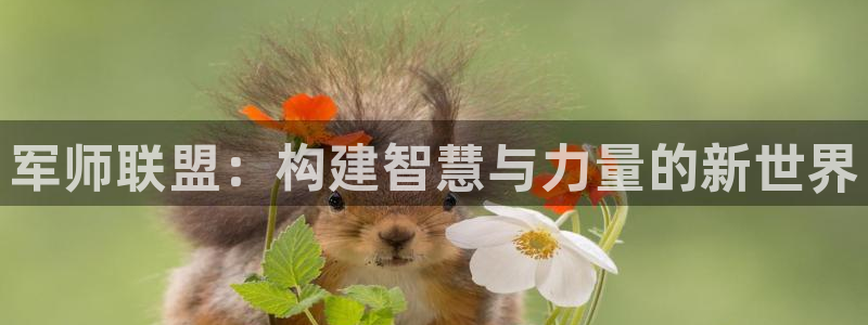 恩佐娱乐平台正规吗可靠吗：军师联盟：构建智慧与力量的新世界