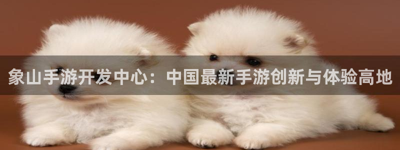 恩佐娱乐手机版最新功能介绍大全：象山手游开发中心：中国最新手