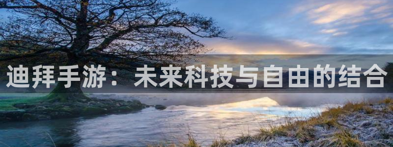 恩佐娱乐手机登录