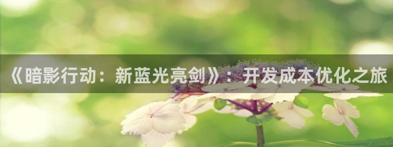 恩佐娱乐官方注册：《暗影行动：新蓝光亮剑》：开发成本优化之旅