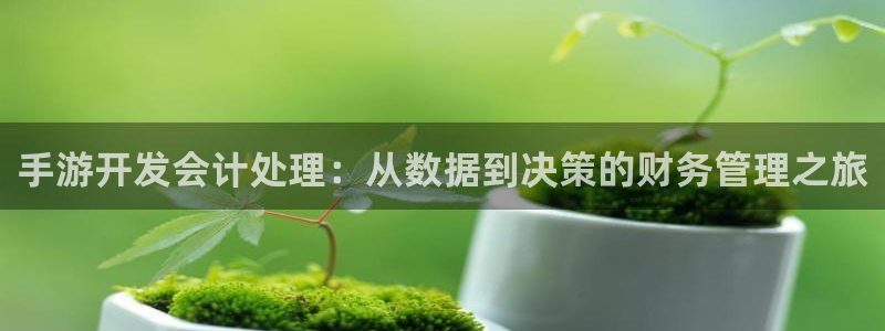 恩佐娱乐手机版最新功能介绍大全：手游开发会计处理：从数据到决