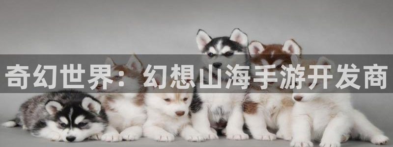 恩佐娱乐平台正规吗知乎