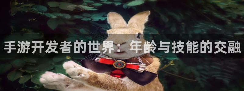 恩佐娱乐官方注册：手游开发者的世界：年龄与技能的交融