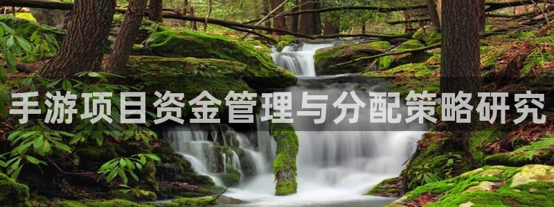 恩佐娱乐平台正规吗可靠吗：手游项目资金管理与分配策略研究