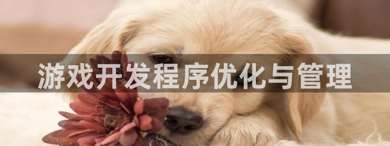 恩佐娱乐手机版最新功能介绍大全：游戏开发程序优化与管理