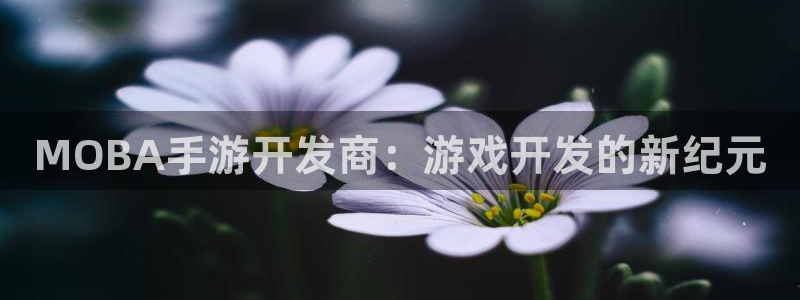 恩佐娱乐：MOBA手游开发商：游戏开发的新纪元