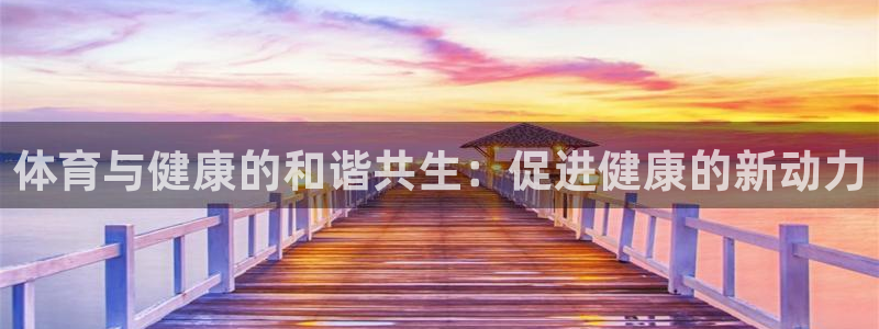 风速体育app下载官网最新版