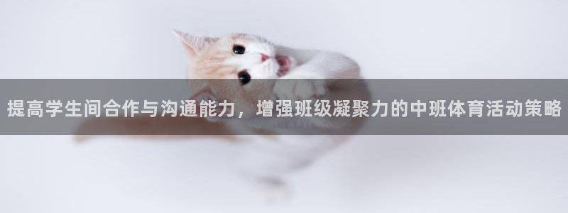 风速体育nba直播