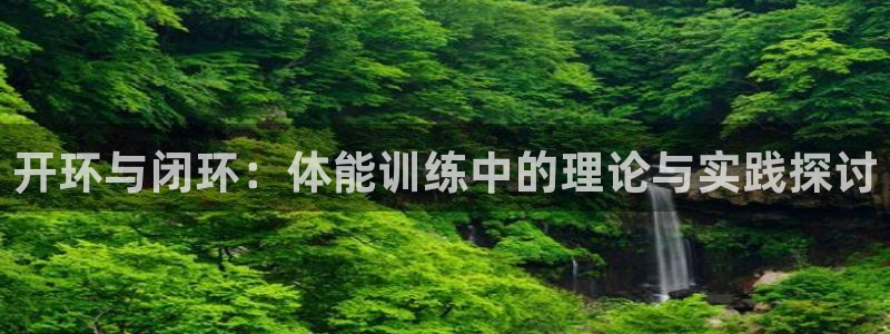 风速体育官网