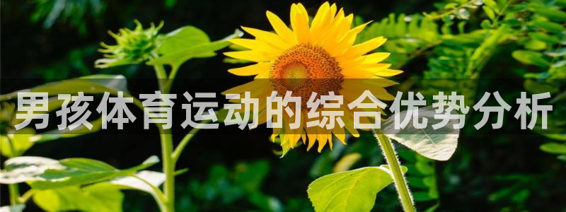风速体育下载：男孩体育运动的综合优势分析