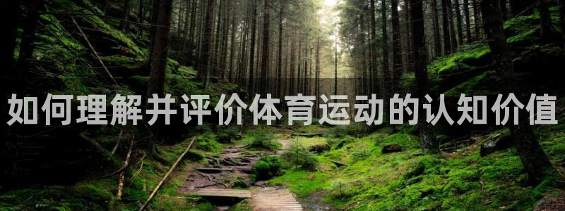 风速体育app：如何理解并评价体育运动的认知价值