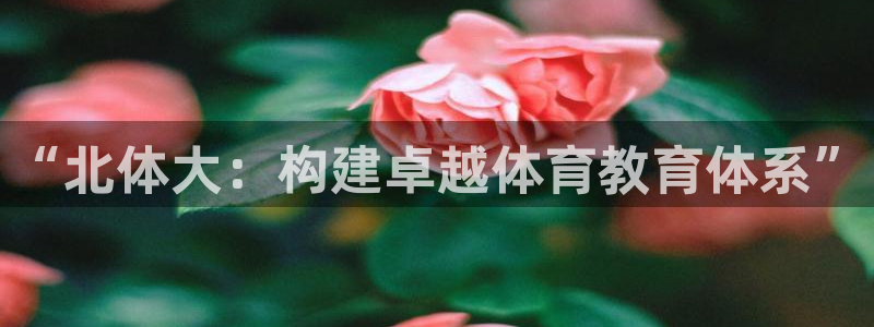 风速体育