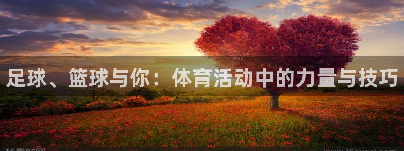 风速体育app下载安装最新版本