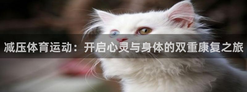风速体育cba直播