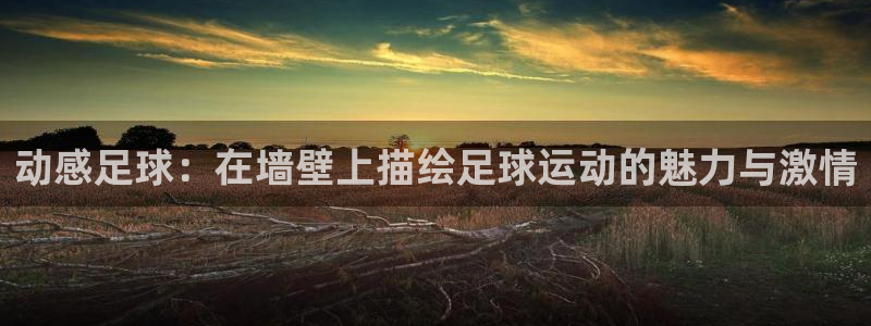 风速体育：动感足球：在墙壁上描绘足球运动的魅力与激情