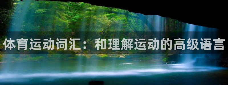 风速体育下载：体育运动词汇：和理解运动的高级语言