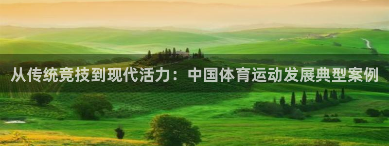 风速体育官网：从传统竞技到现代活力：中国体育运动发展典型案例