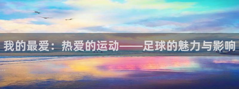 下载风速体育：我的最爱：热爱的运动——足球的魅力与影响