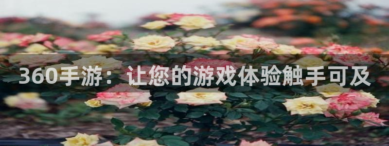 恩佐娱乐官方注册：360手游：让您的游戏体验触手可及